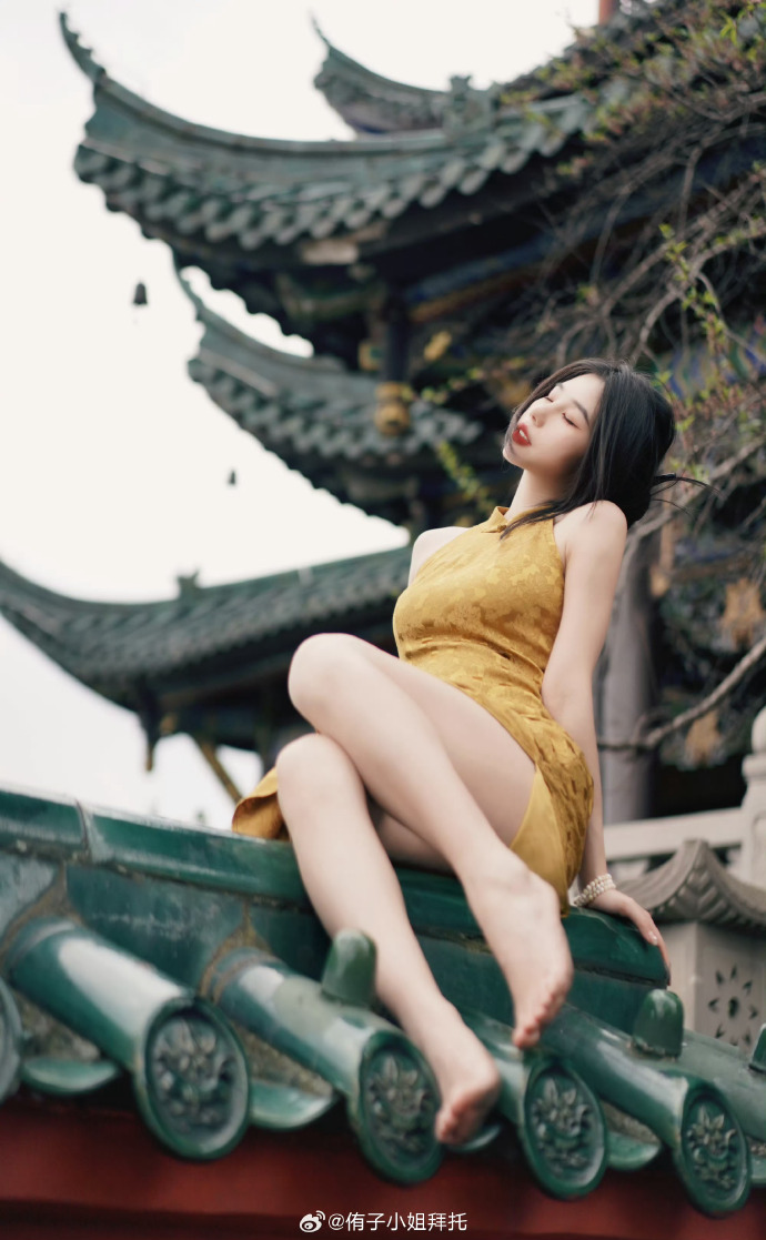 绿皮书